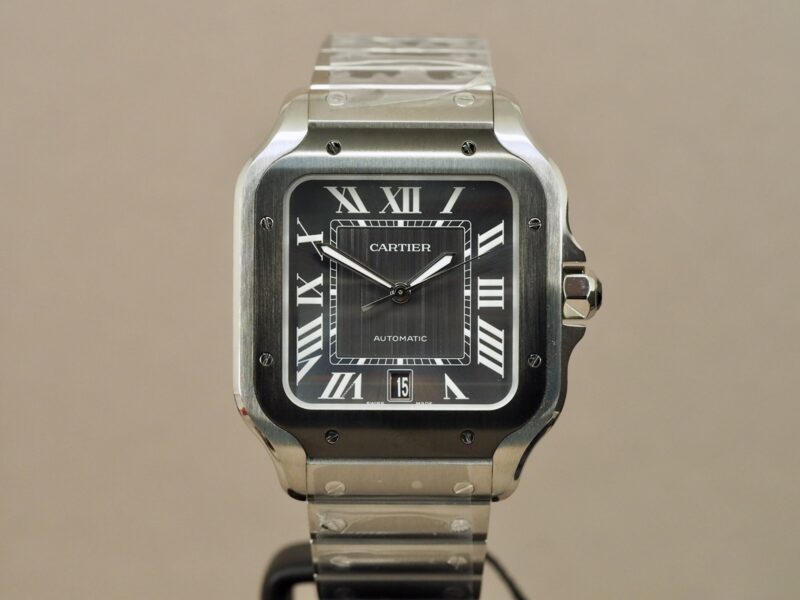 Cartier Santos wssa0037