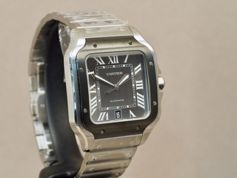 Cartier Santos wssa0037