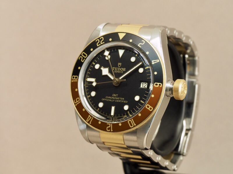 Tudor steel and gold