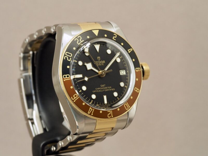 Tudor steel and gold