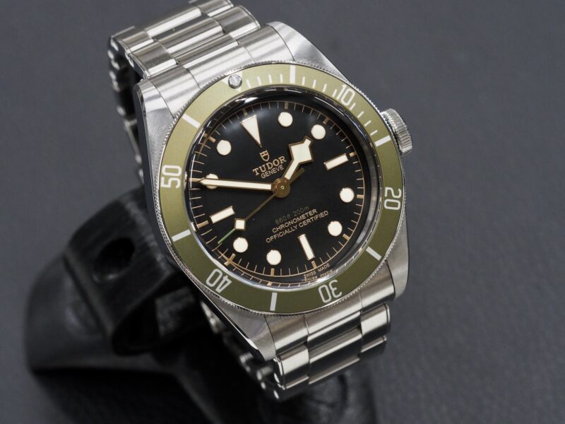 Tudor Black Bay 79230G Harrods, 6/2022