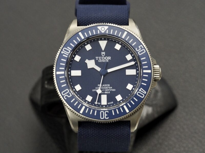 Tudor Pelagos FXD, 10/2024