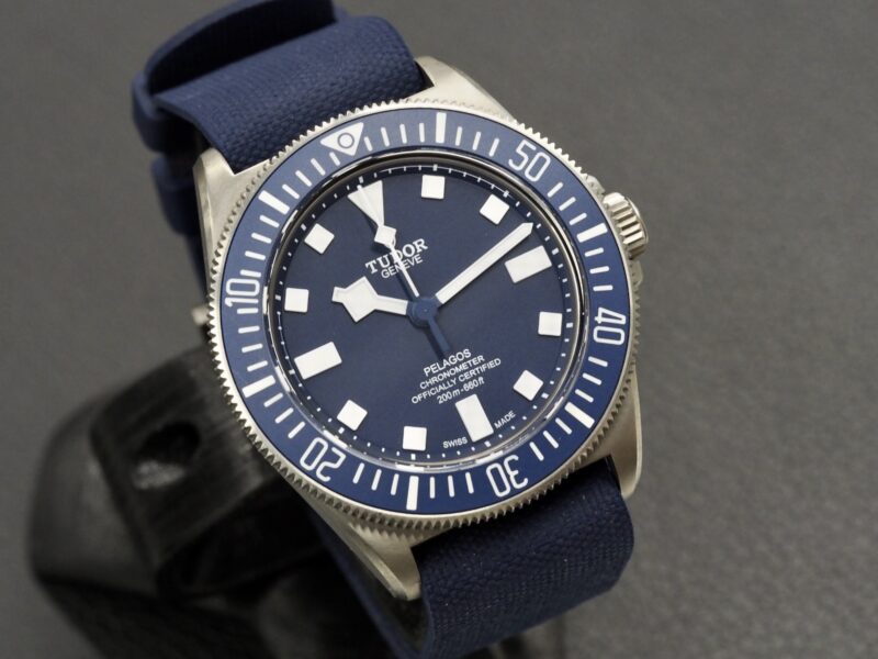 Tudor Pelagos FXD, 10/2024