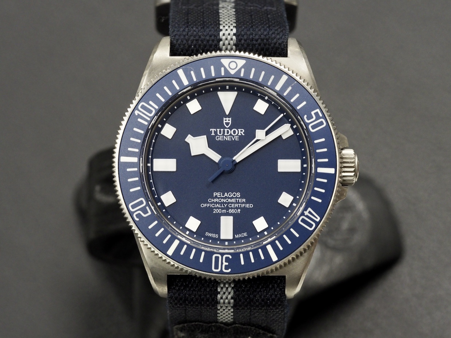 Tudor Pelagos FXD, 10/2024
