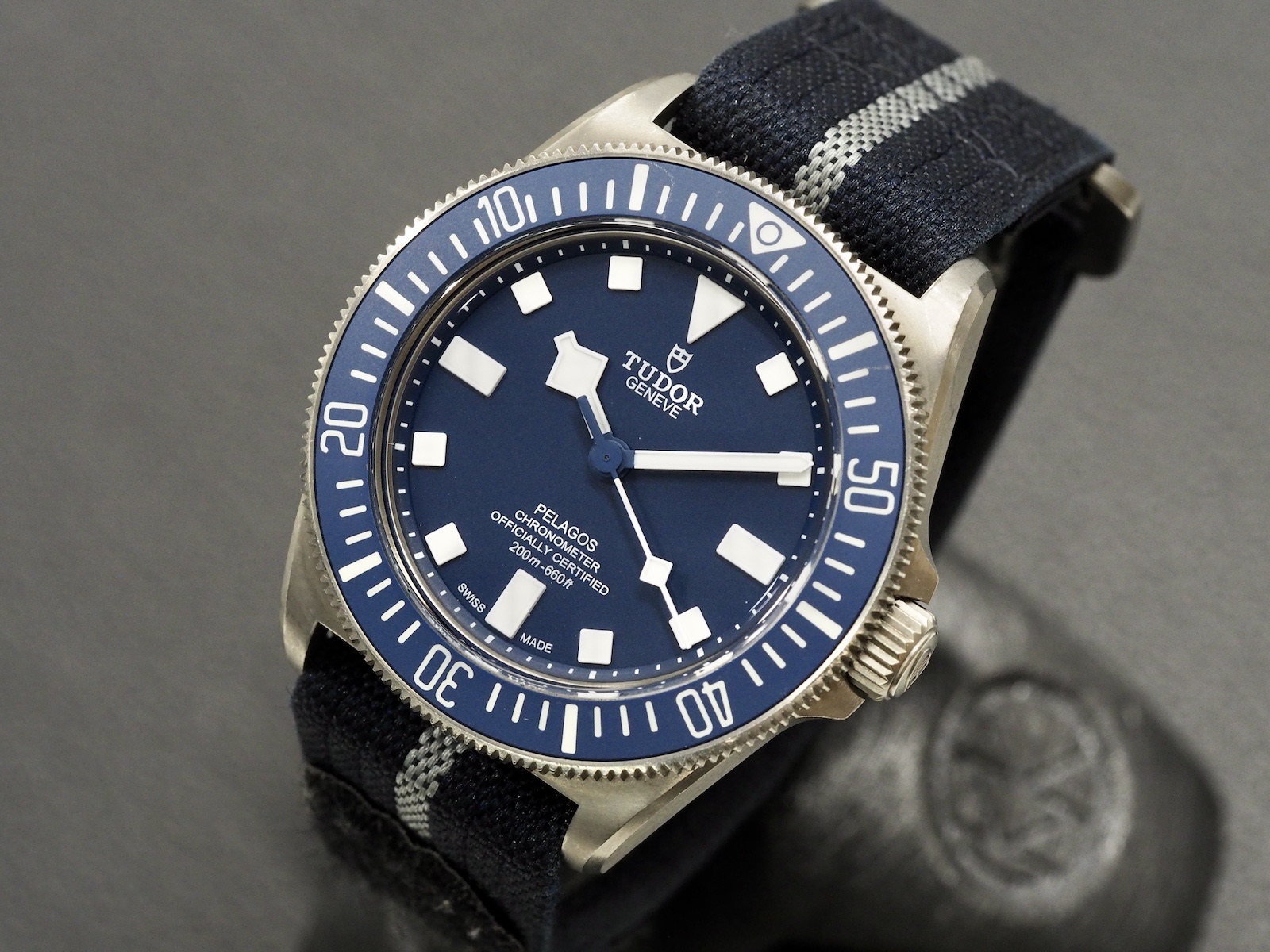 Tudor Pelagos FXD, 10/2024