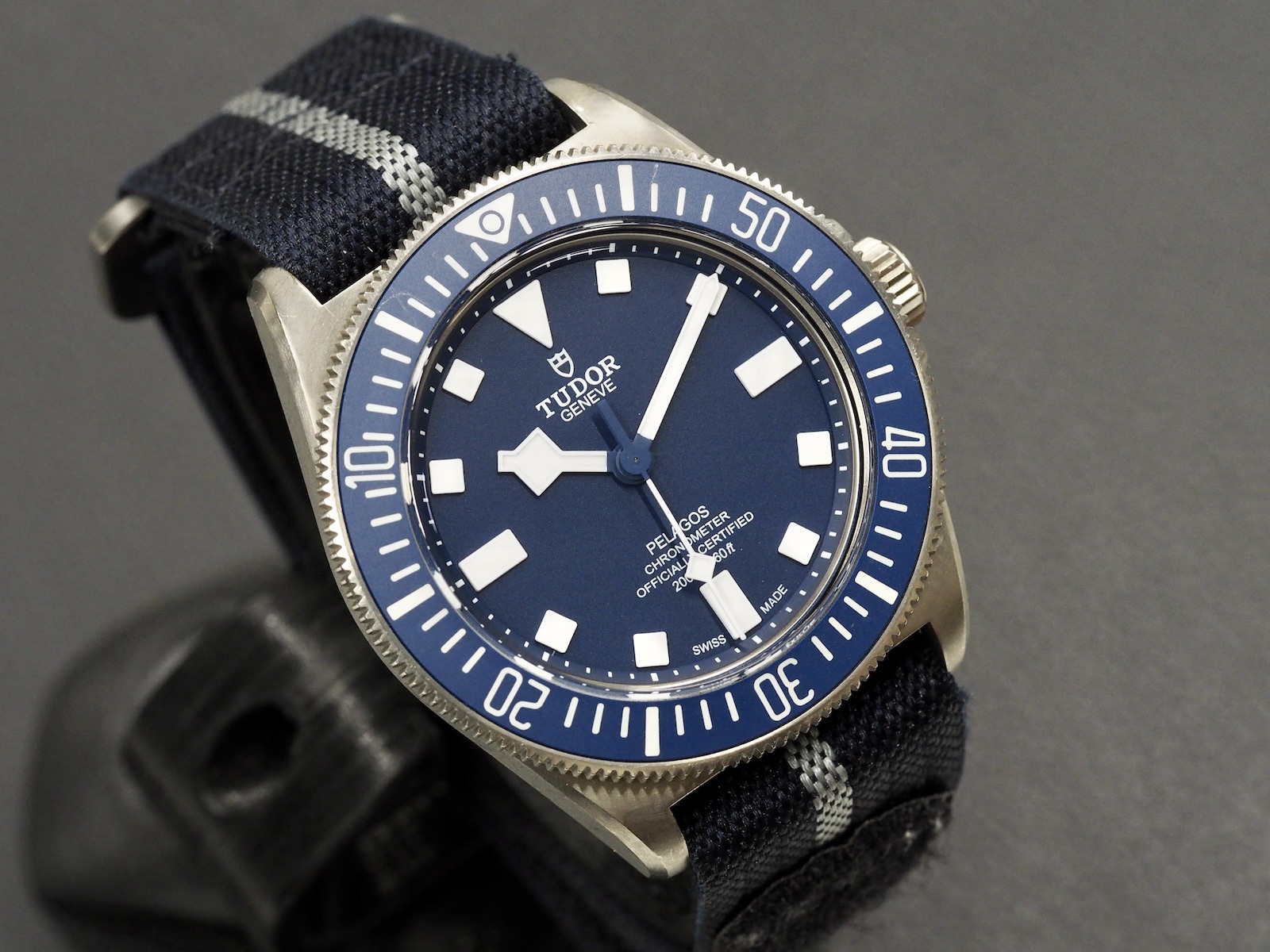 Tudor Pelagos FXD, 10/2024